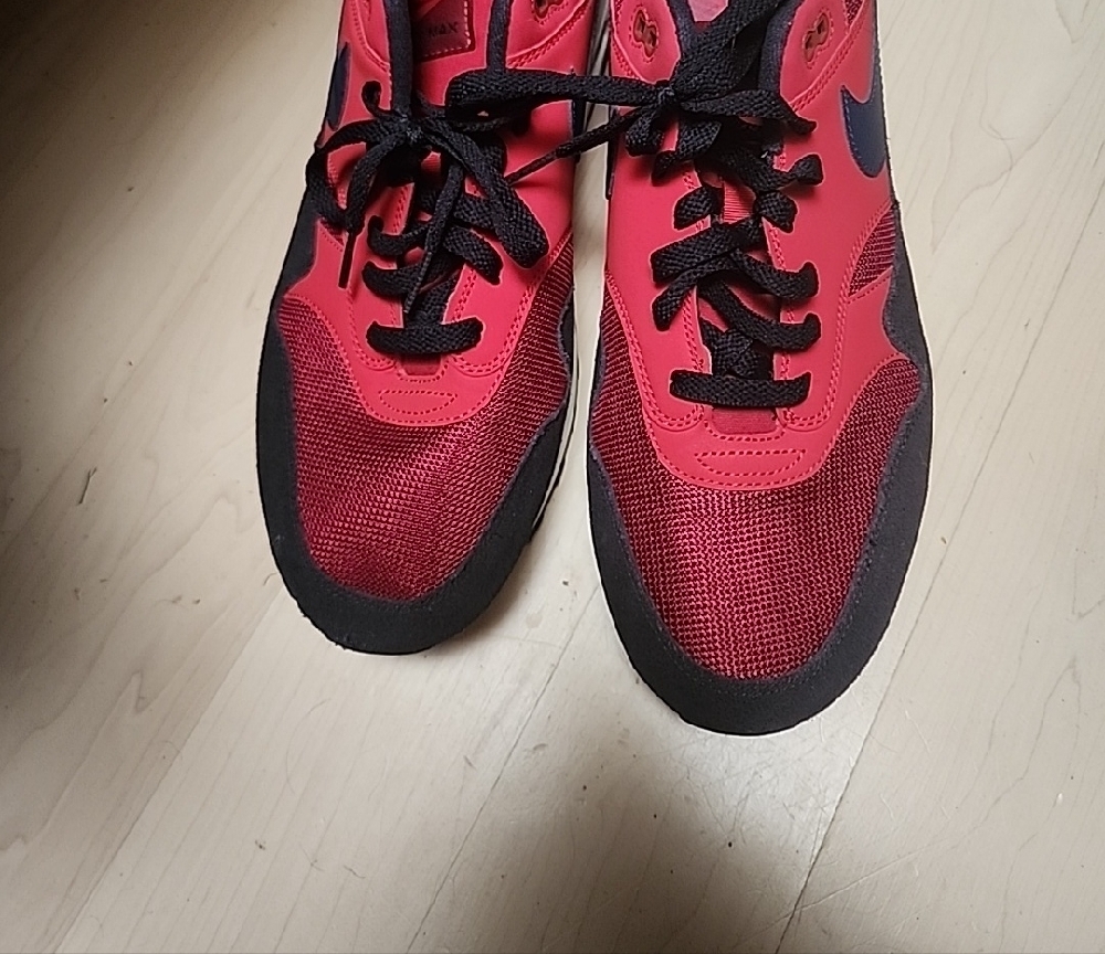NIKE Red Crush (and Black) Athletic Shoes AH8145 600
